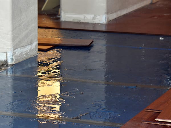 Water Damage to a property