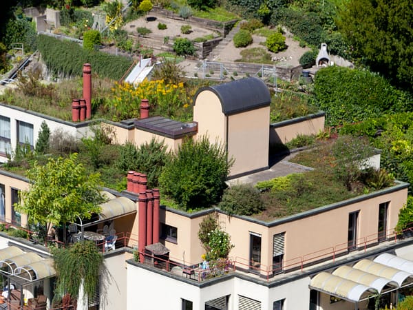 Green Roof Structural Recommendations by Ora Labora